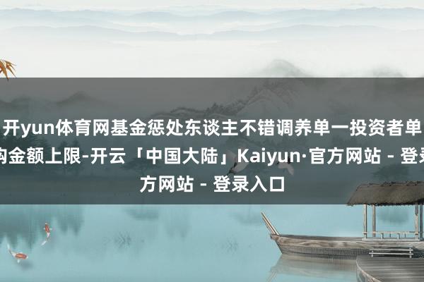 开yun体育网基金惩处东谈主不错调养单一投资者单日申购金额上限-开云「中国大陆」Kaiyun·官方网站 - 登录入口