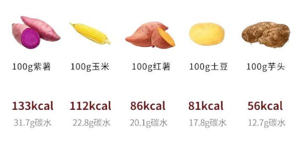 开云(中国)Kaiyun·官方网站 - 登录入口当芋泥和它们混在统共时-开云「中国大陆」Kaiyun·官方网站 - 登录入口